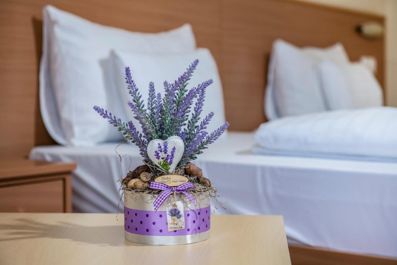 Zichy Park Hotel Bikács エクステリア 写真