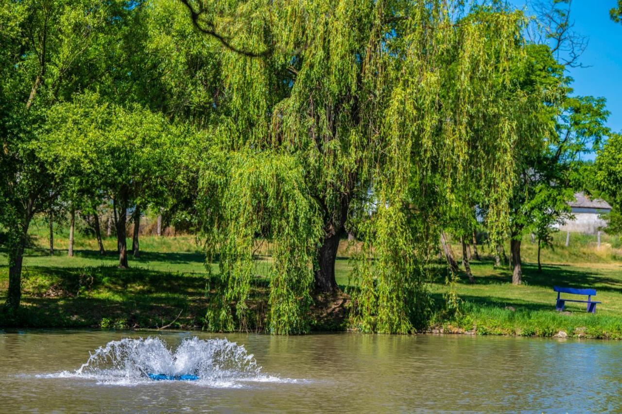 Zichy Park Hotel Bikács エクステリア 写真