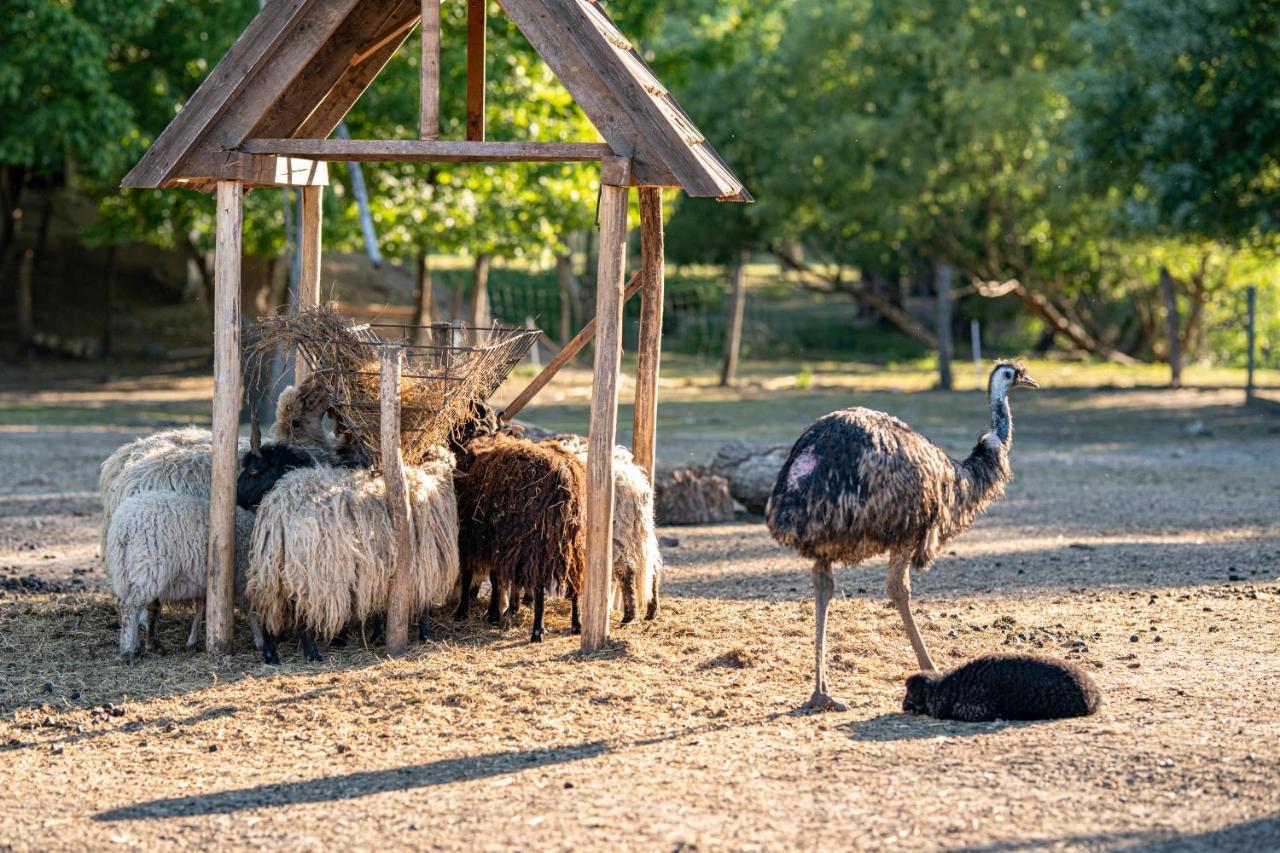 Zichy Park Hotel Bikács エクステリア 写真