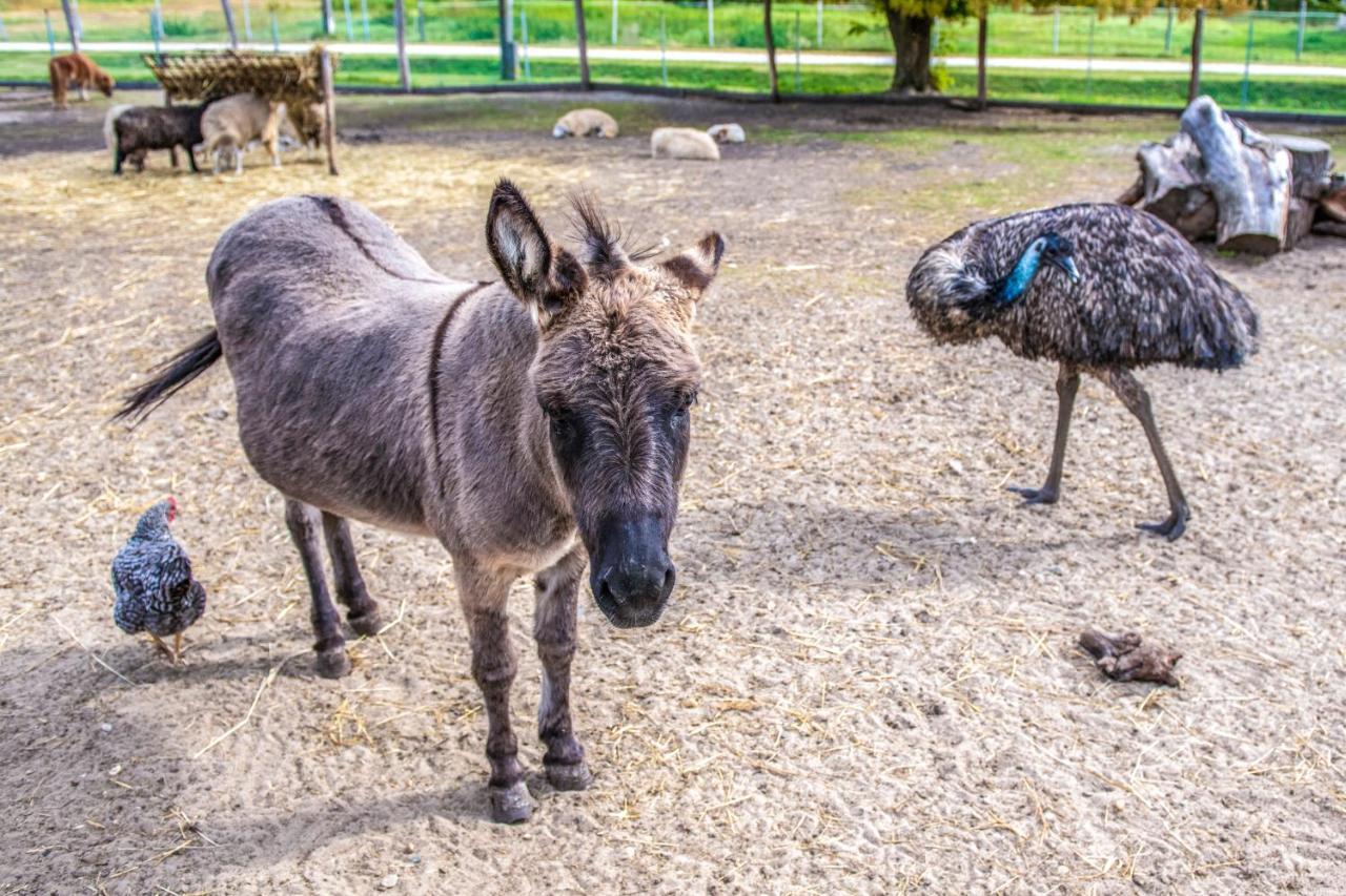 Zichy Park Hotel Bikács エクステリア 写真