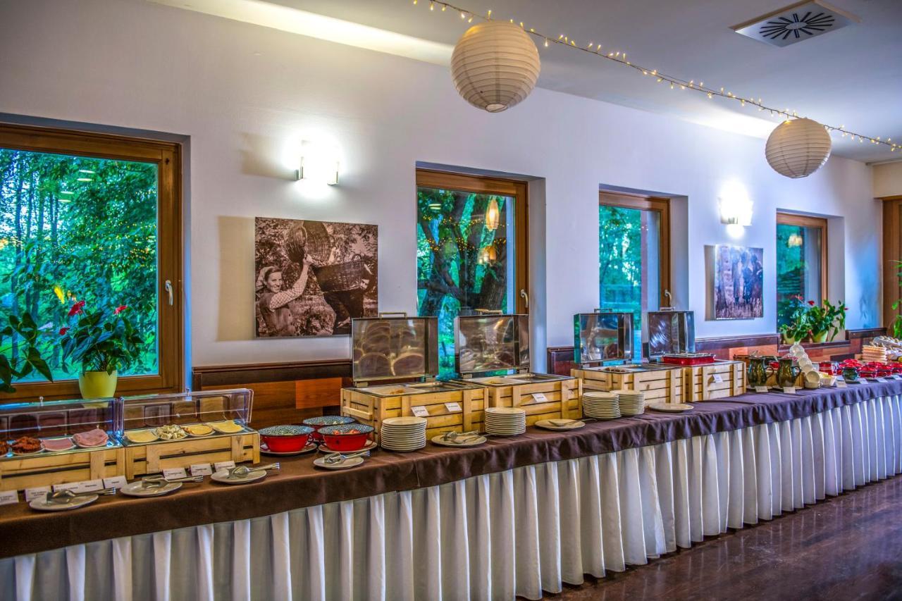 Zichy Park Hotel Bikács エクステリア 写真